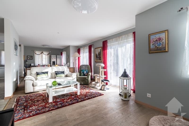 Spacious chalet in the heights of Ollon (4)