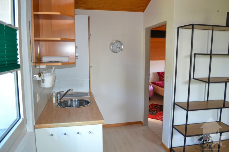 App. de 2,5 pièces de 42 m2 dans les combles avec vue sur les Alpes (6)