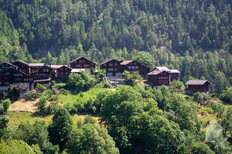 App. de 2,5 pièces de 42 m2 dans les combles avec vue sur les Alpes (13)