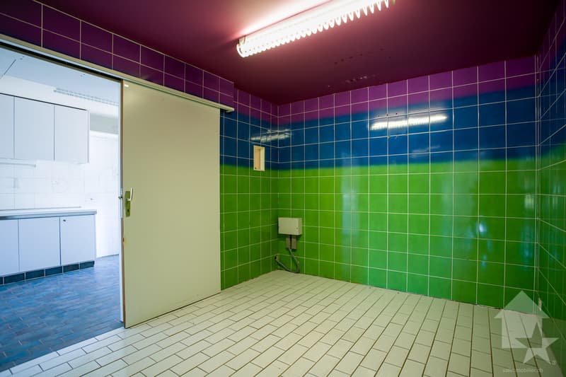 Grand appartement traversant de 5.5 pièces à rénover, 140 m2, terrasse (11)