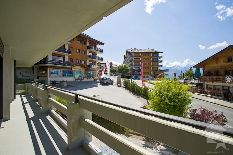 Grand appartement traversant de 5.5 pièces à rénover, 140 m2, terrasse (3)