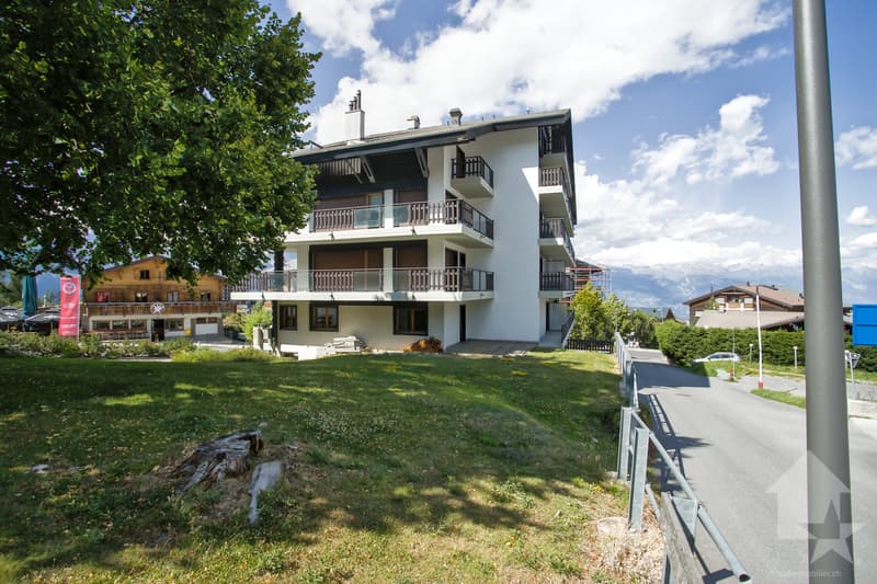 Grand appartement traversant de 5.5 pièces à rénover, 140 m2, terrasse (6)