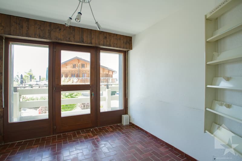 Grand appartement traversant de 5.5 pièces à rénover, 140 m2, terrasse (9)