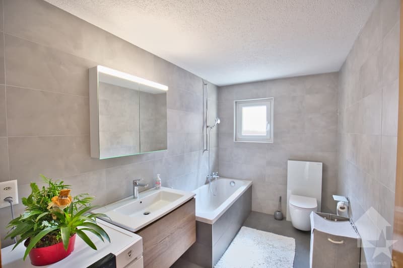 Appartement 4.5 pièces avec garage + place de parc, petite PPE 2 appts (13)