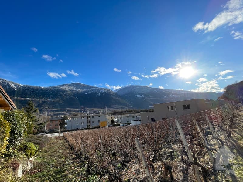 Da costruire, villa familiare di 5,5 locali in un ambiente tranquillo (2)