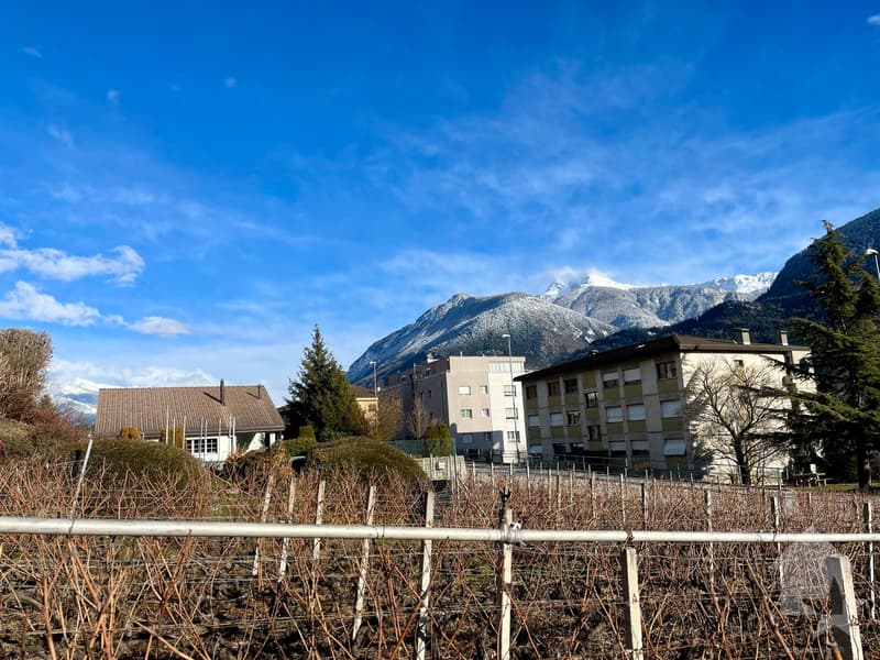 Da costruire, villa familiare di 5,5 locali in un ambiente tranquillo (12)