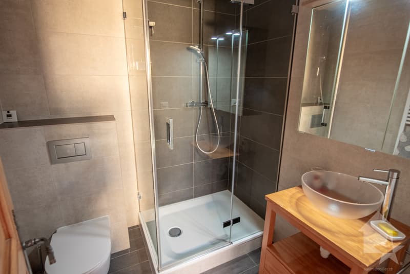 Beautiful 6-room duplex apartment, quiet and completely renovated (11)