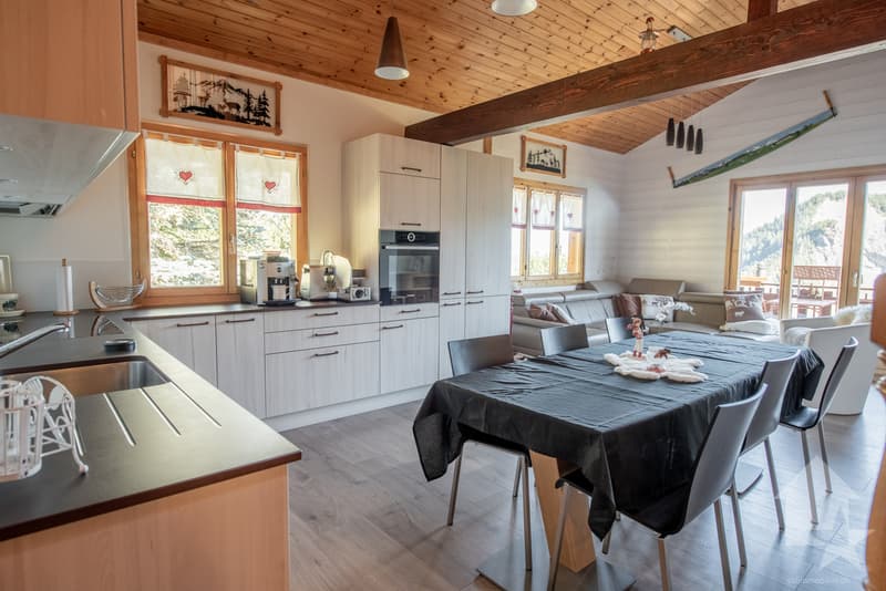 Beautiful 6-room duplex apartment, quiet and completely renovated (5)