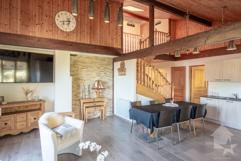 Beautiful 6-room duplex apartment, quiet and completely renovated (3)