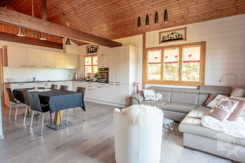 Beautiful 6-room duplex apartment, quiet and completely renovated (4)