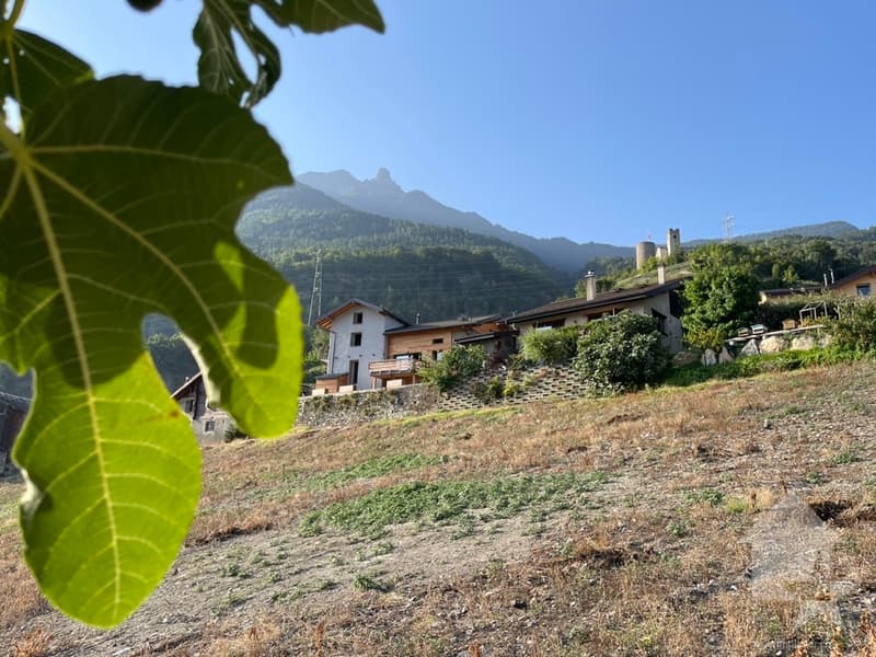 Appartamento 4.5 locali con giardino di 208m2, nuova promozione (3)