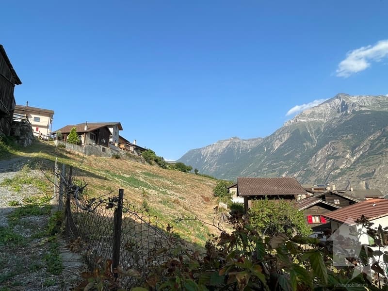 Appartamento 4.5 locali con giardino di 169m2, nuova promozione (3)