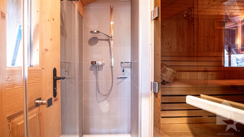 Séduisant appartement en duplex au centre du village (8)