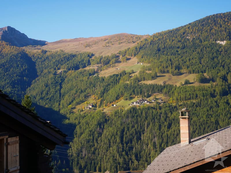 4,5 locali, da ristrutturare in una casa di villaggio a Chandonne (12)