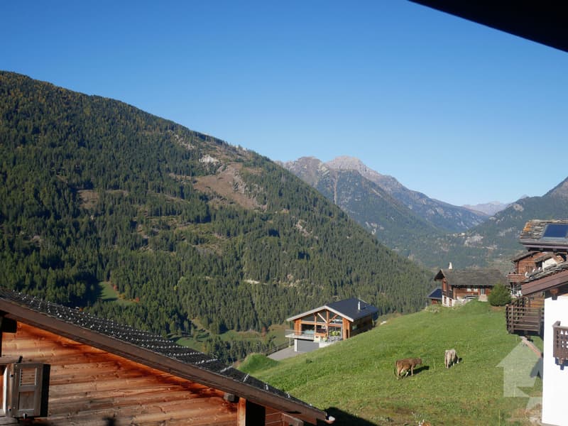 4,5 locali, da ristrutturare in una casa di villaggio a Chandonne (2)