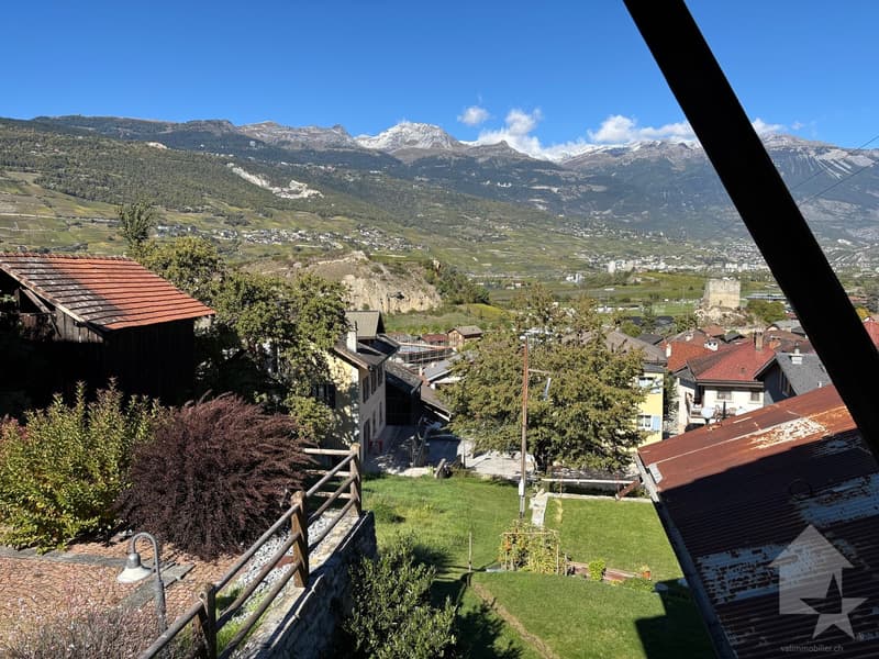 Maison villageoise avec granges et lot de parcelles constructibles (13)