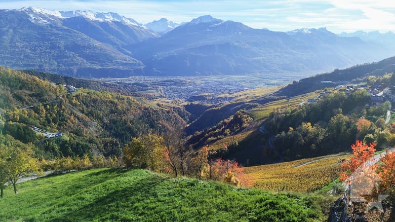 Terrain à vendre sur les hauts de Conthey avec une vue imprenable (7)