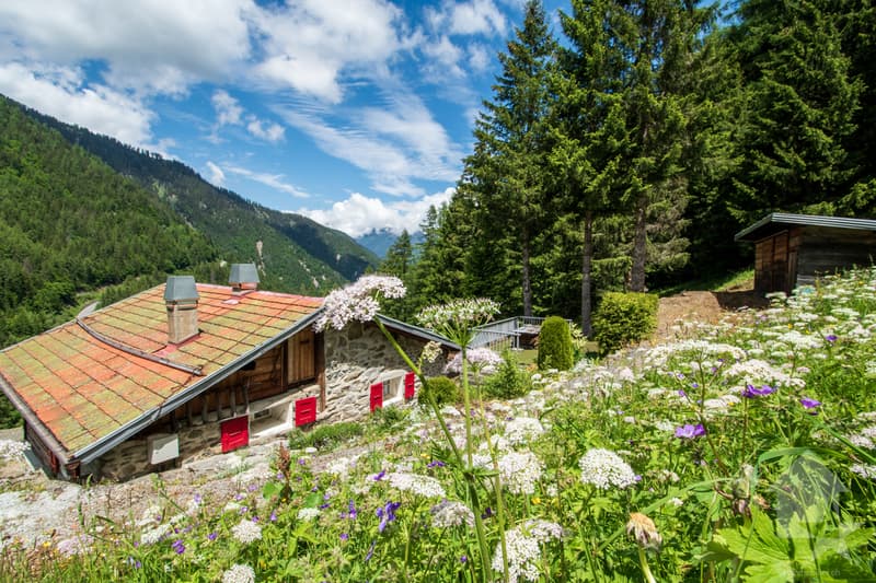 Chalet to renovate in the heart of nature (2)