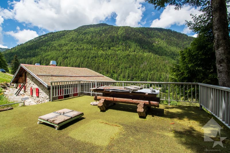 Chalet to renovate in the heart of nature (5)