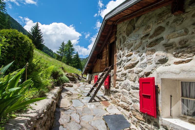 Chalet to renovate in the heart of nature (4)