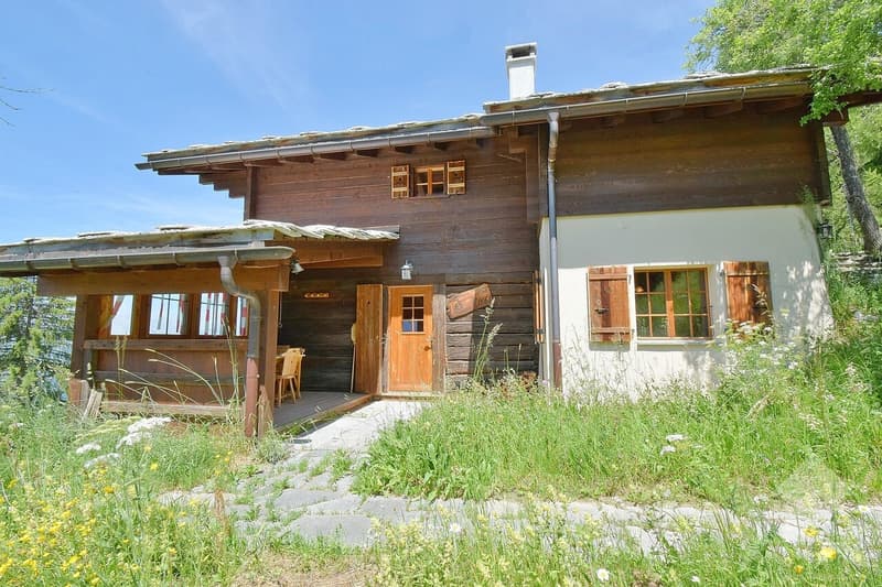 Beautiful mountain chalet in a quiet and spacious location (4)