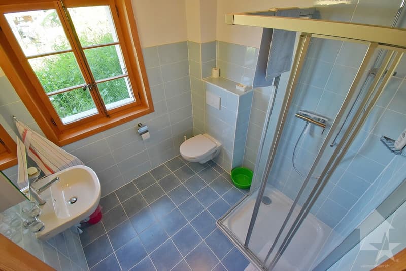 Beautiful mountain chalet in a quiet and spacious location (13)