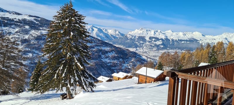 Beautiful mountain chalet in a quiet and spacious location (1)