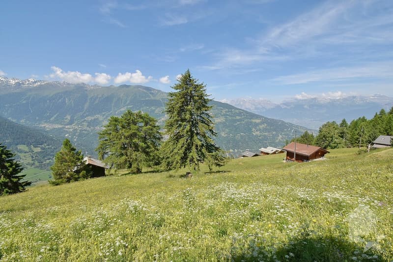 Beautiful mountain chalet in a quiet and spacious location (9)