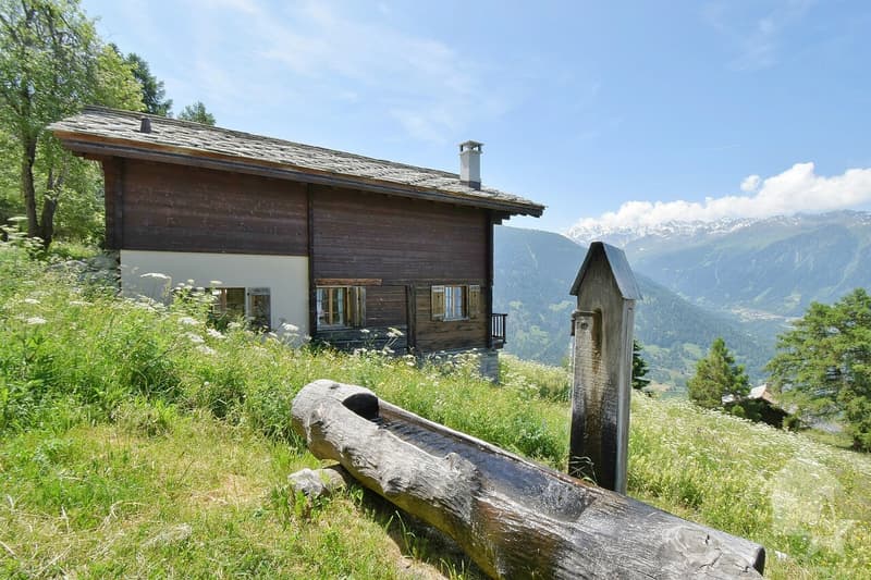 Beautiful mountain chalet in a quiet and spacious location (2)