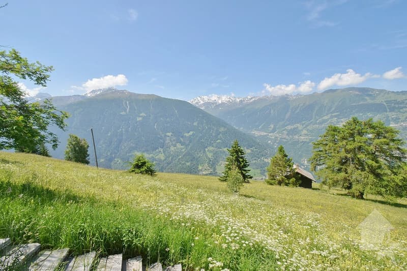 Beautiful mountain chalet in a quiet and spacious location (10)