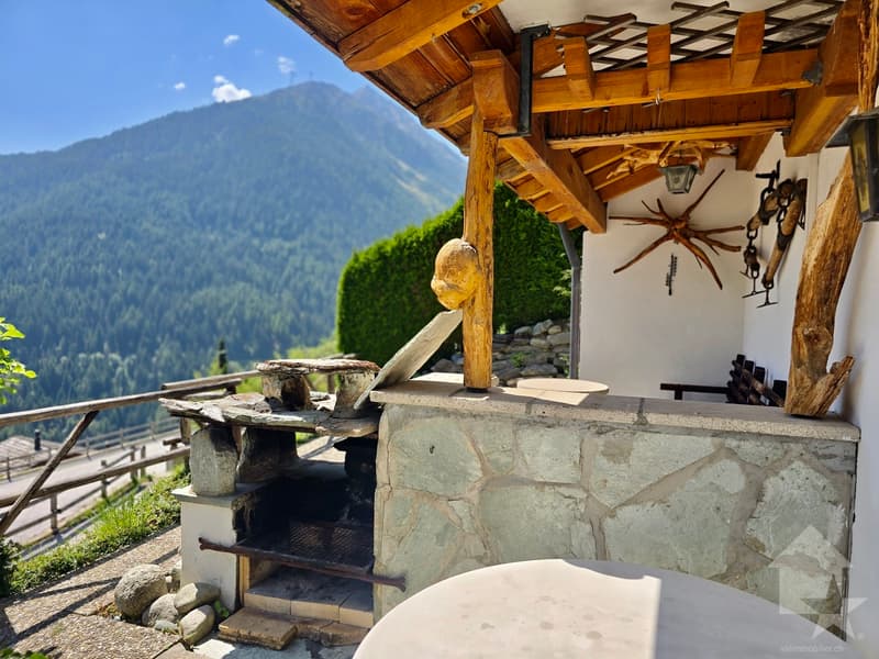 3,5 locali con terrazza e box (3)