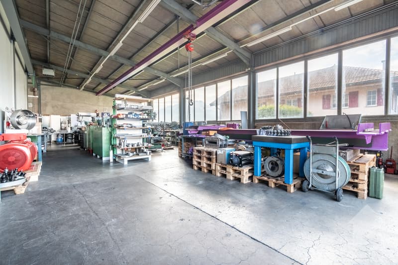 Mixed building with 2 apartments and a workshop (2)
