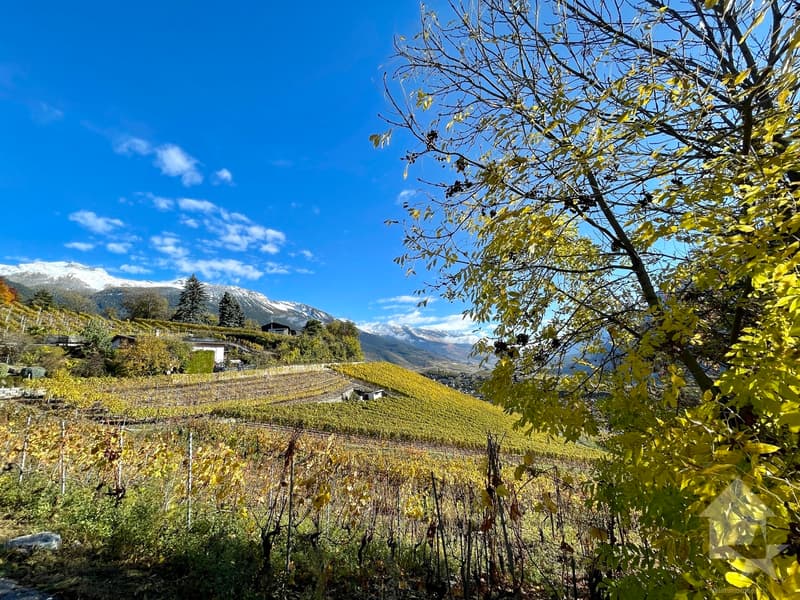 Da costruire, villa a schiera con terrazza, 3 camere da letto, vista panoramica (3)