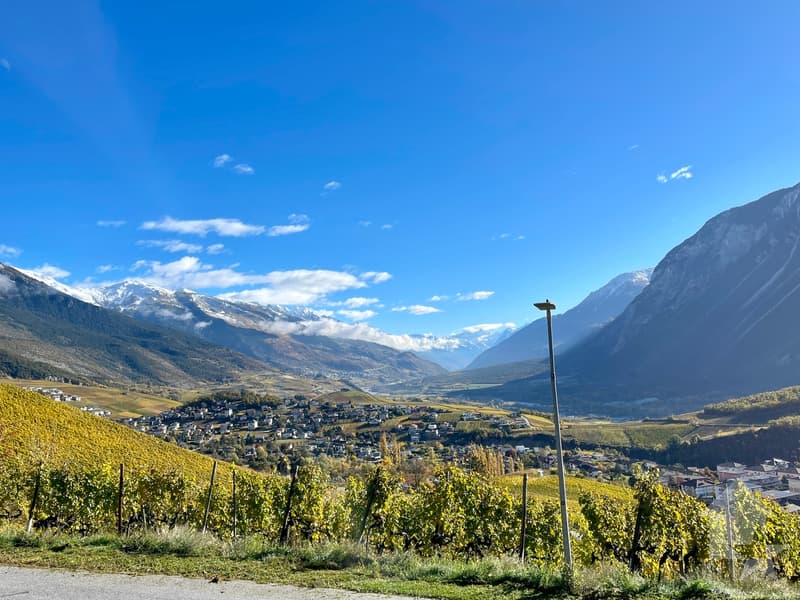 Da costruire, villa a schiera con terrazza, 3 camere da letto, vista panoramica (1)