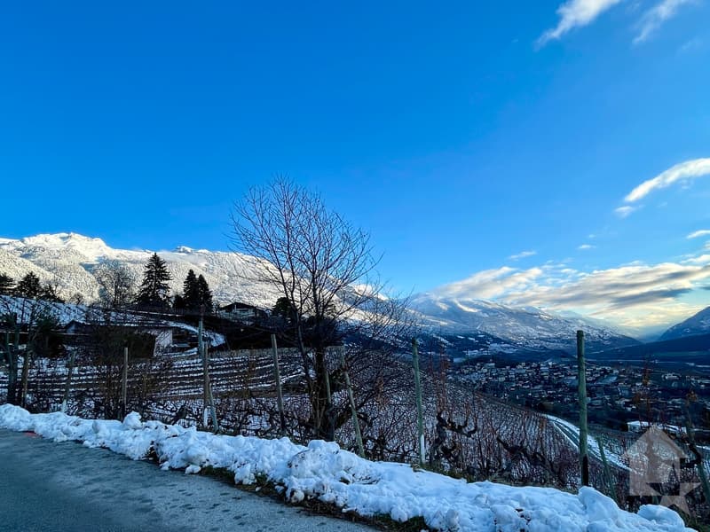 Da costruire, villa a schiera con terrazza, 3 camere da letto, vista panoramica (5)