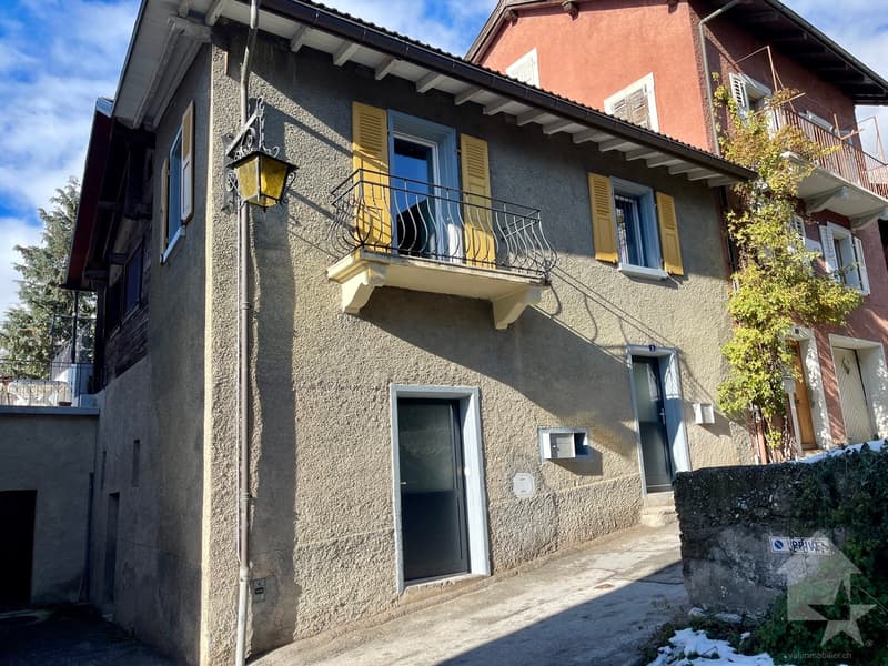 Duplex apartment 2.5 rooms in a completely renovated village house (9)