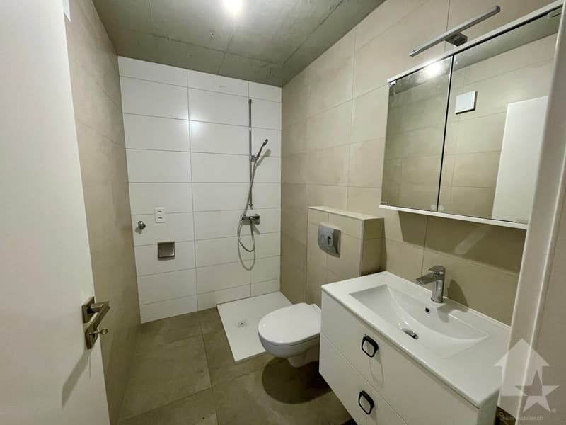 Duplex apartment 2.5 rooms in a completely renovated village house (6)