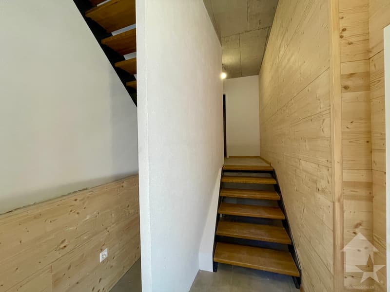 Duplex apartment 2.5 rooms in a completely renovated village house (5)