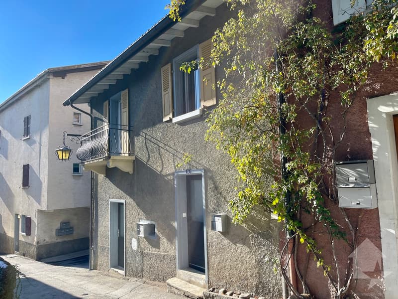 Duplex apartment 2.5 rooms in a completely renovated village house (1)