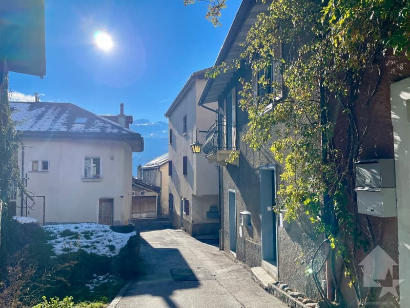 Duplex apartment 2.5 rooms in a completely renovated village house (10)