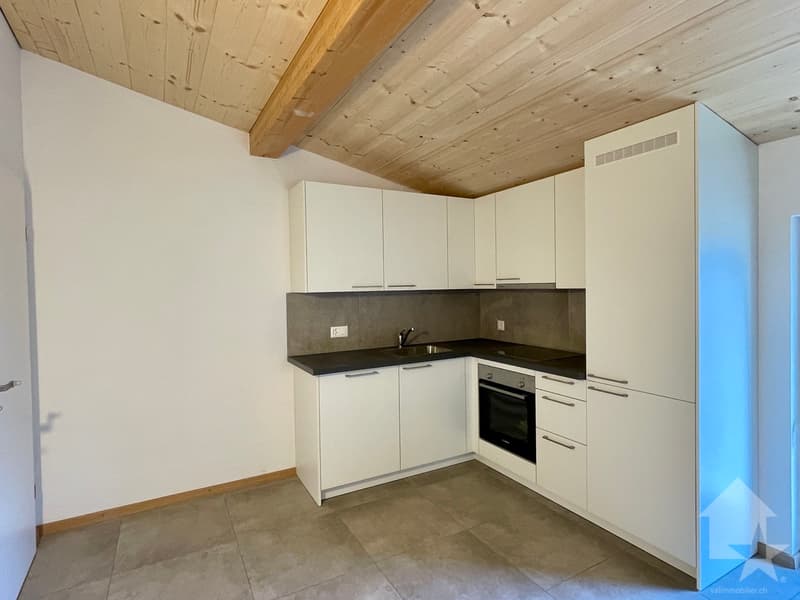 Duplex apartment 2.5 rooms in a completely renovated village house (4)