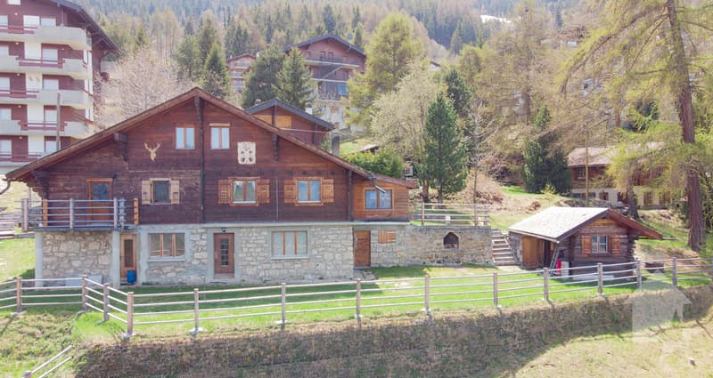 Grand chalet de trois logements au centre de la Tzoumaz (1)