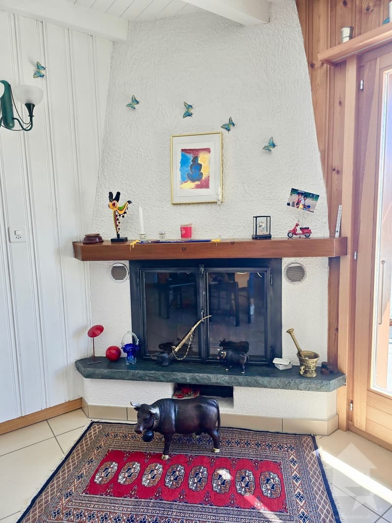 Magnificent chalet located in a residential area of Blignou (13)