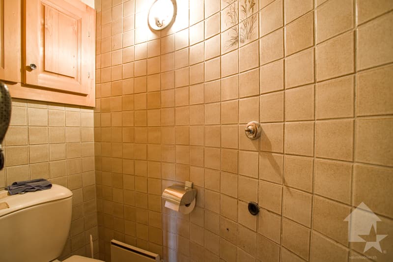Chalet with 5.5 rooms and charm, 180 m2, sunny location (13)