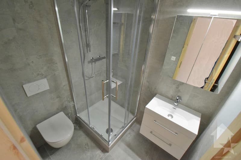 Magnifique appartement de 3.5 pièces complètement rénové en 2025 (11)