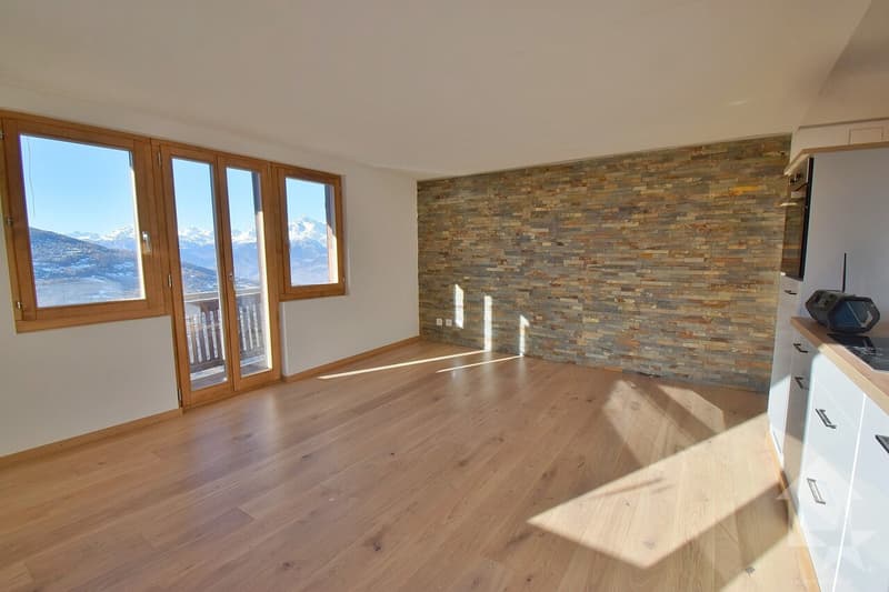Magnifique appartement de 3.5 pièces complètement rénové en 2025 (1)