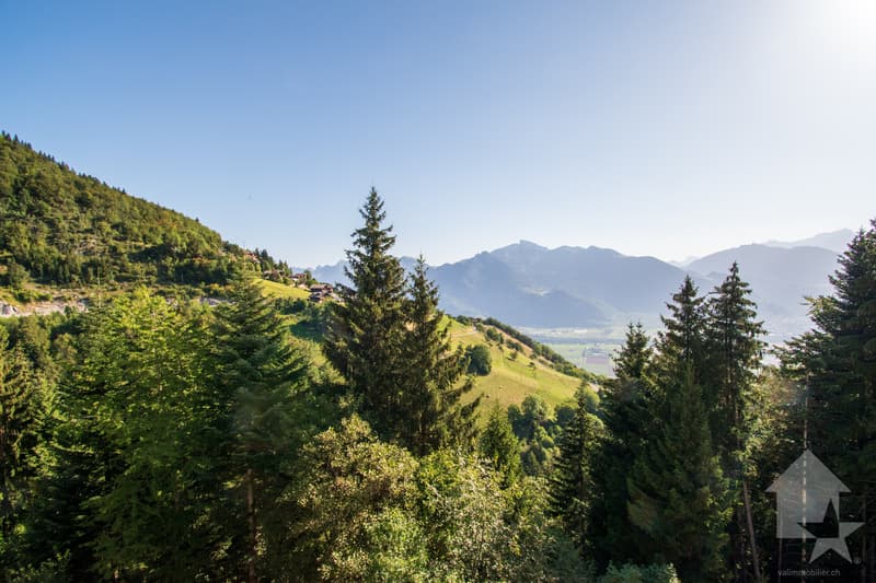Torgon, 2 pezzi con vista sulla pianura nella residenza Le Cleuset (9)