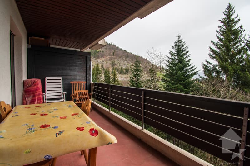 Torgon, 2 pezzi con vista sulla pianura nella residenza Le Cleuset (8)