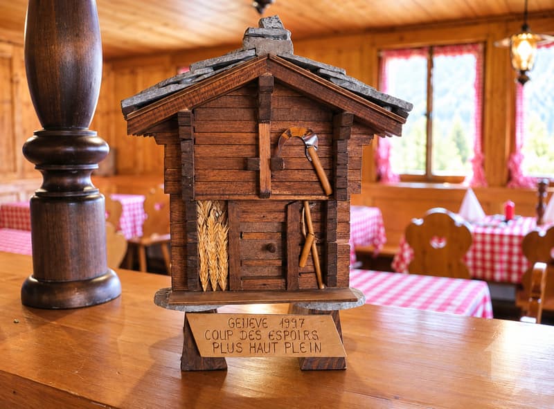 Hôtel Alpenblick dans un emplacement de choix (9)