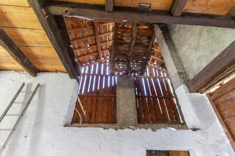 Village house and barn to be completely renovated (10)